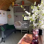 Zulawska Zielona Przystan, Caloroczny Domek Na Kolach Holiday park